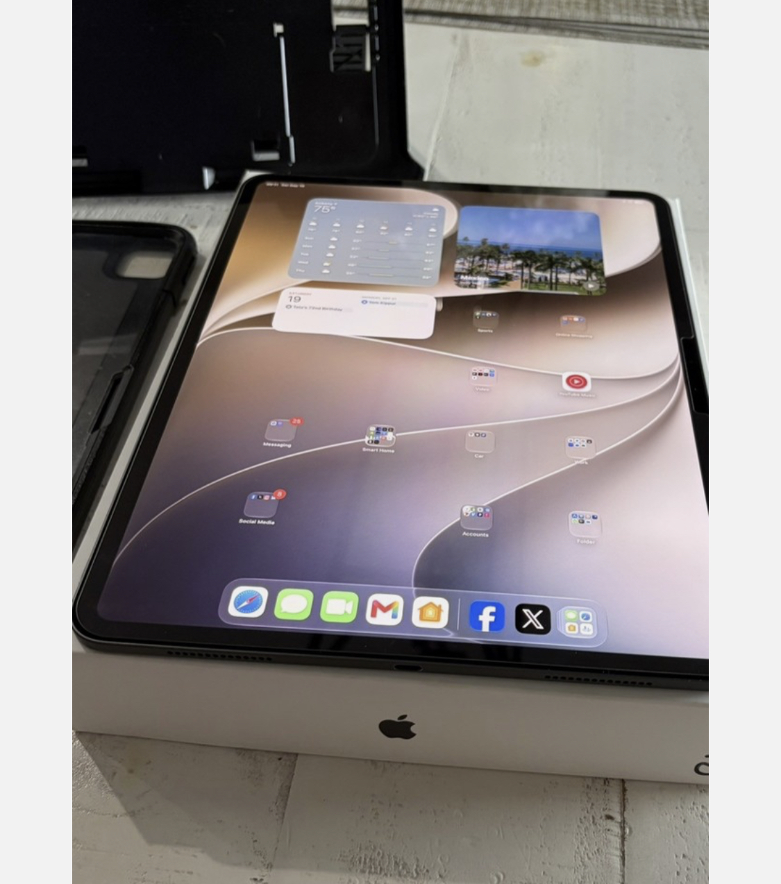 Apple iPad Pro M5 Wi-Fi+5G 256gb unlocked