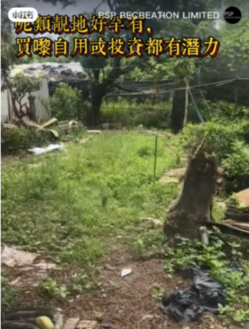 西貢菠蘿車罕有REC用地63433492827777113