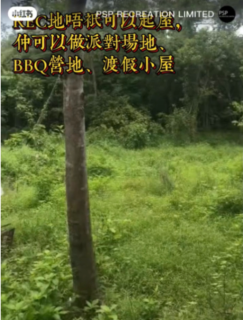 Sai Kung pineapple bun rare REC land use63433492827777112