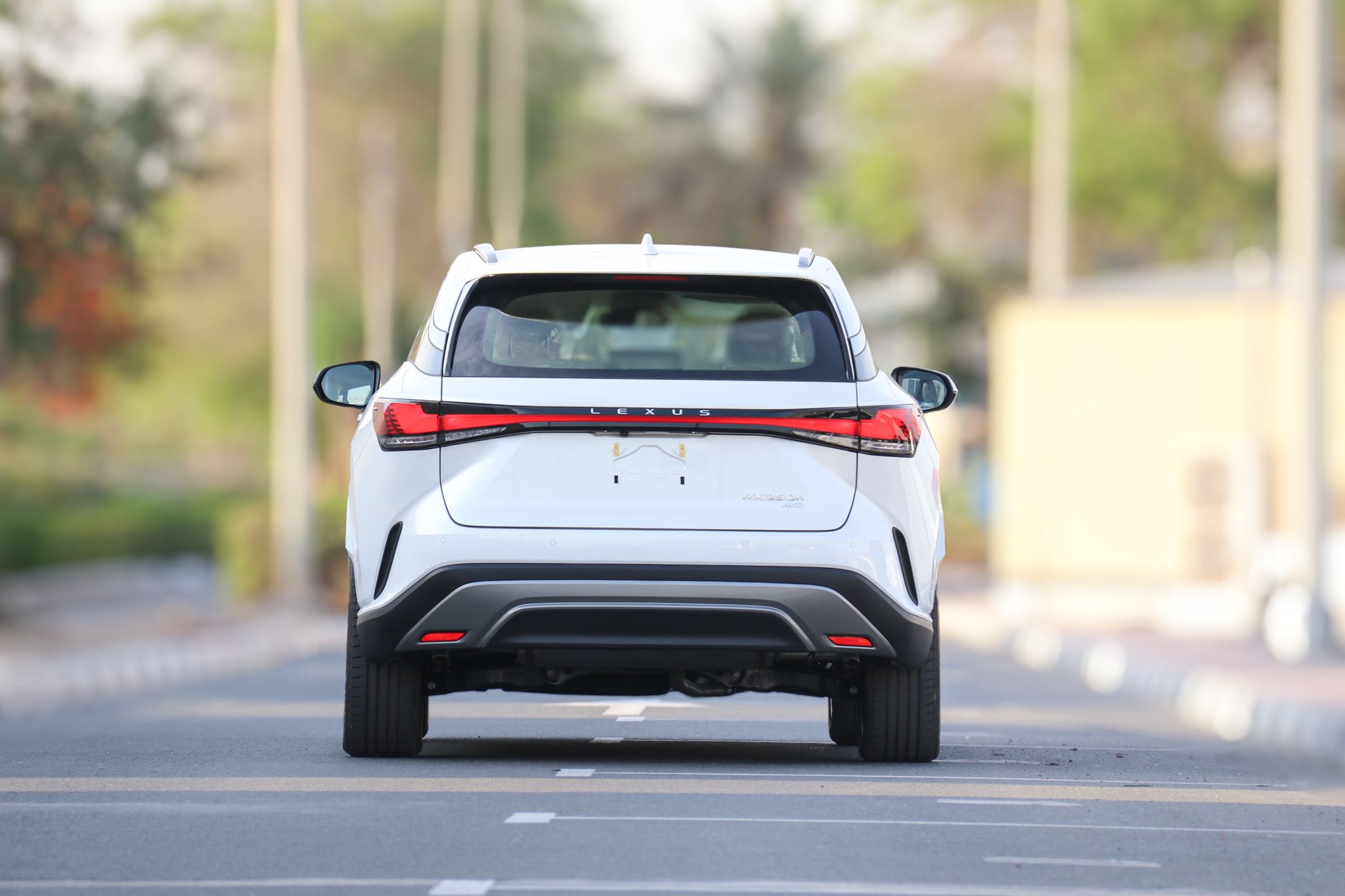 RX350 STD H 202564474395878785113