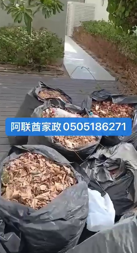 خدمات بستنة فيلا | جز العشب، التقليم، الصيانة والتسميد63206816000257110