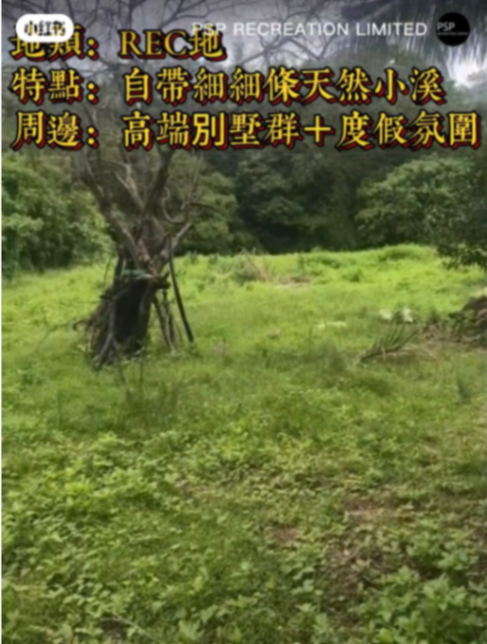 Sai Kung pineapple bun rare REC land use63433492827777111