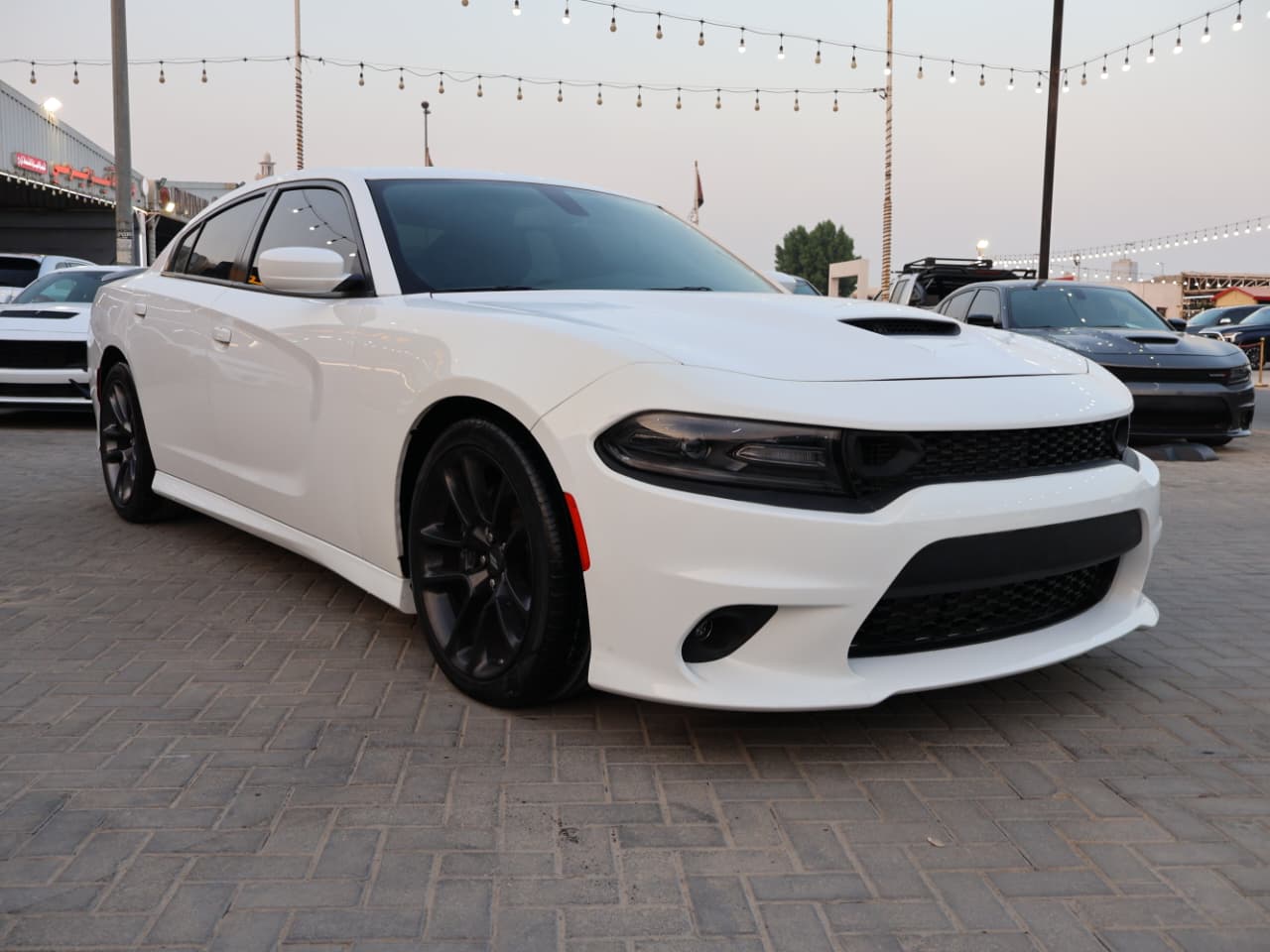 /ar/city-ajman/cate-car-used-car/dodge-charger-srt-scatpack-2022-6436634495564911/-5
