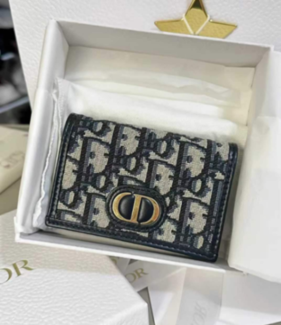 Dior Oblique Canvas Card Holder – Like New | With Box63227403996163110