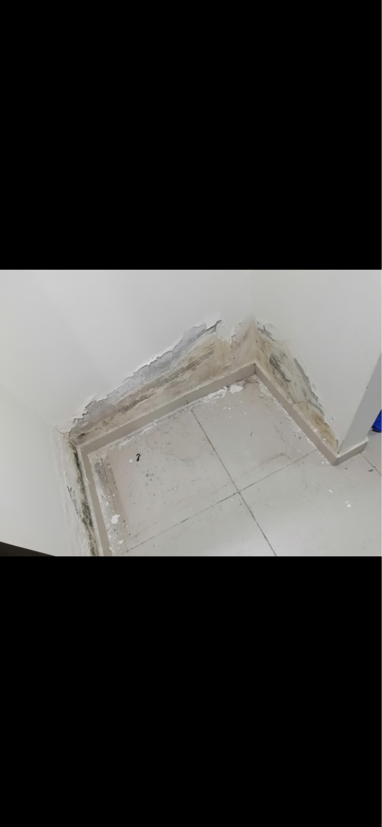 Water+proofing+services64678399145730110