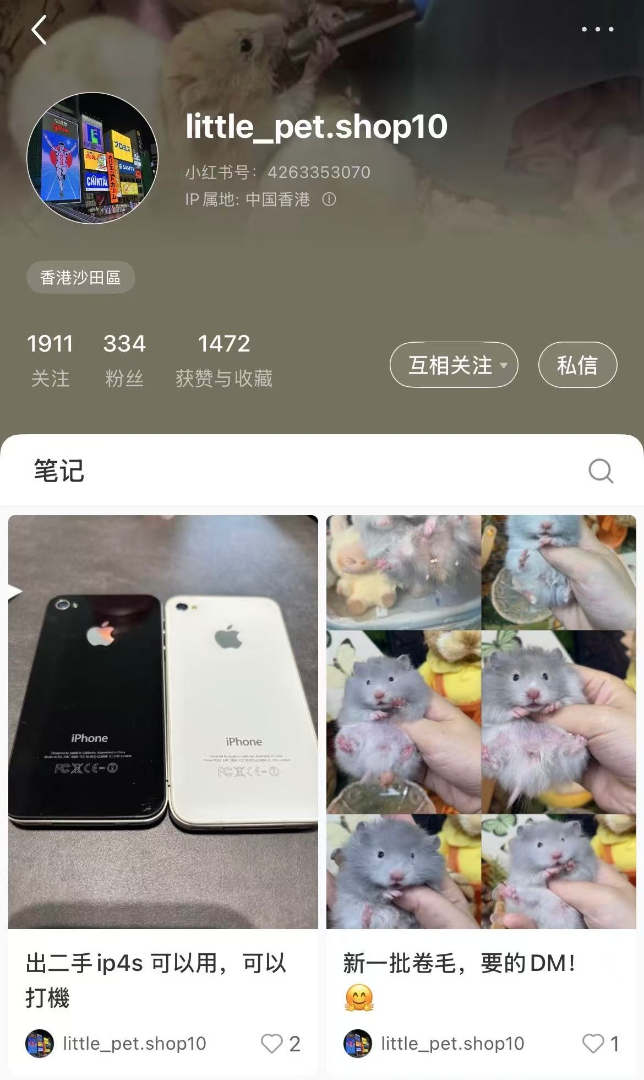 平價出熊仔鼠63235953966211112