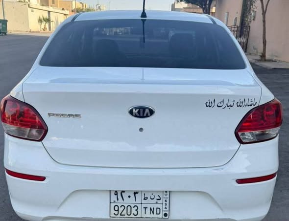 Pegasus 202164838994930818110