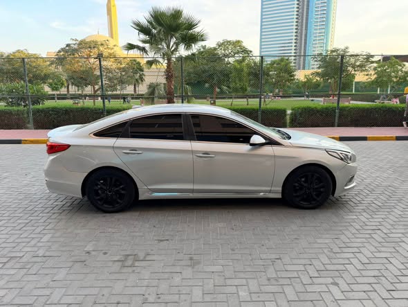 Sonata 201564694235386241112