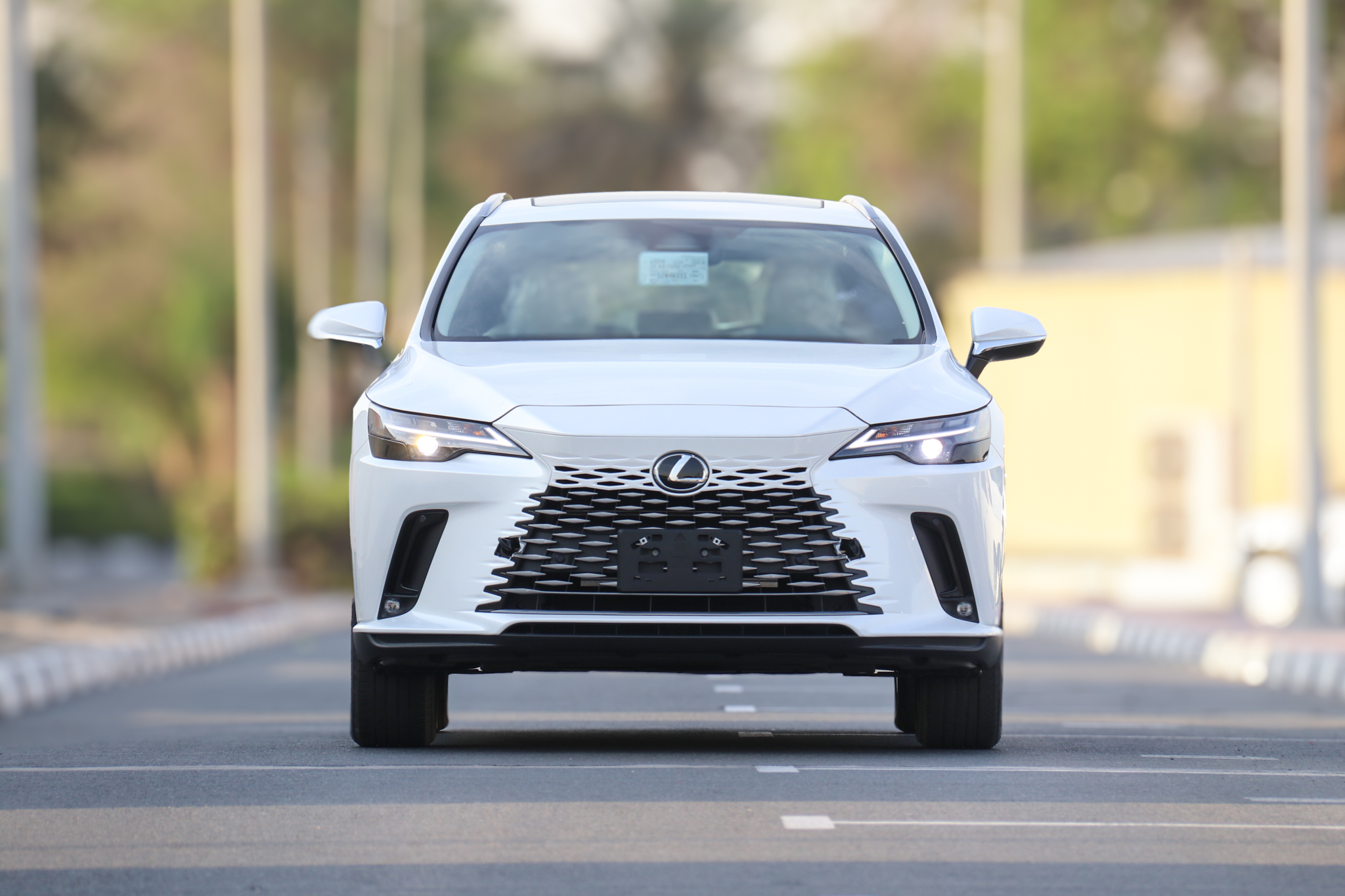 RX350 STD H 202564474395878785111