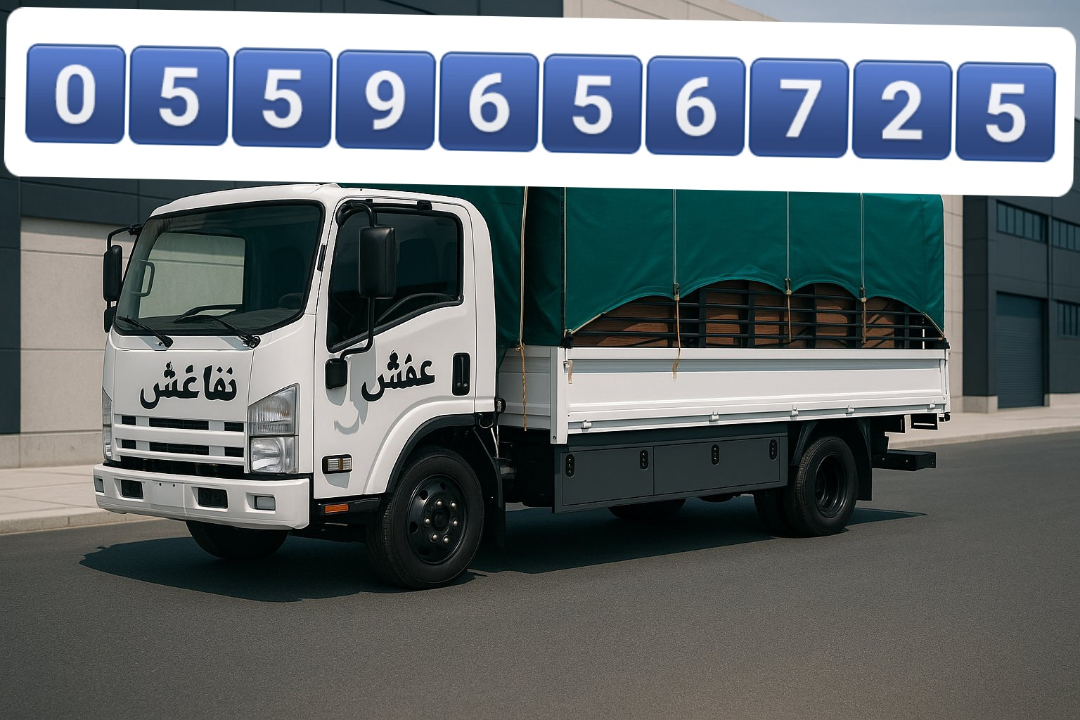 Dina Moving Furniture in Riyadh 055965672563414205501698111