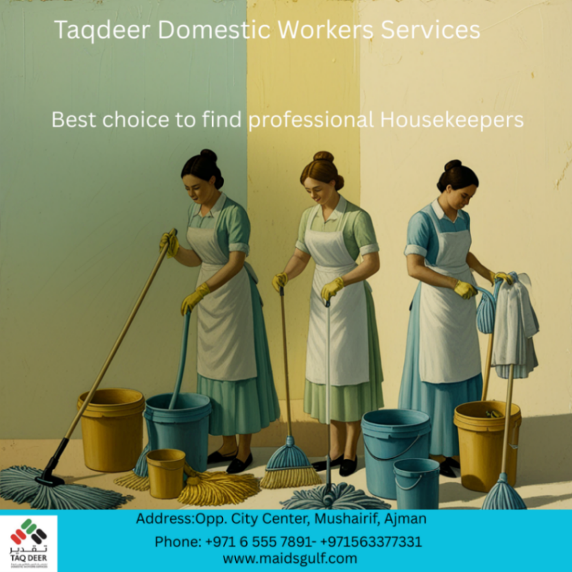 Domestic Workers Services 63426530931329110